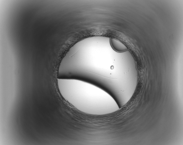 X0000098220307200804241139