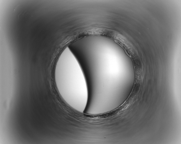 X0000098220309200804241138