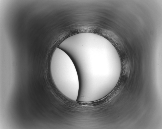 X0000098220310200804241138