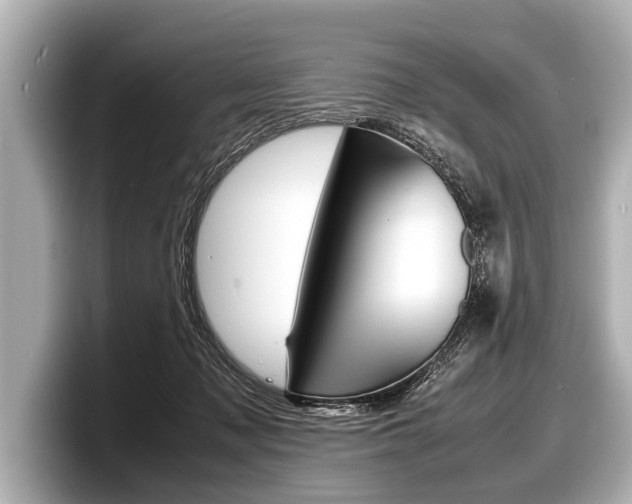 X0000098220317200804241138