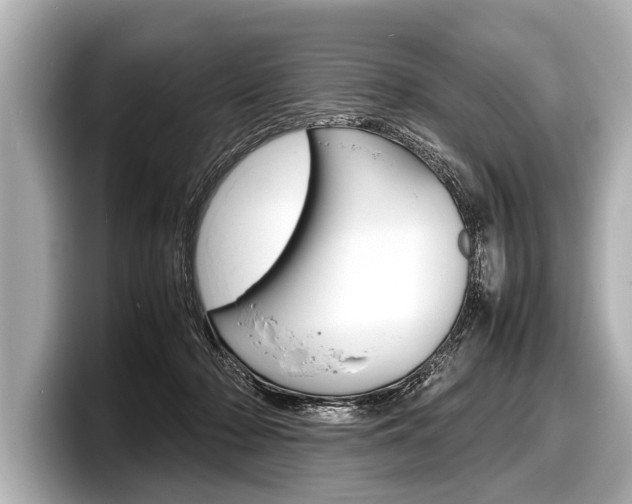 X0000098220318200804241138