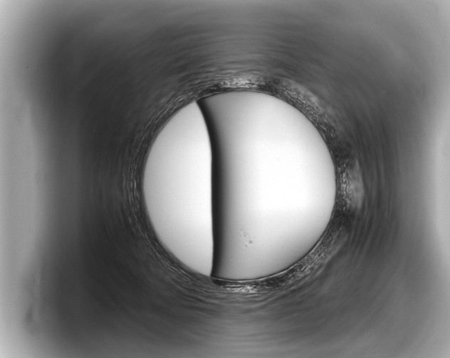 X0000098220322200804241138