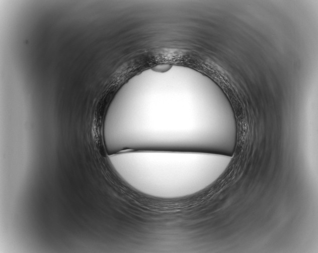 X0000098220324200804241138