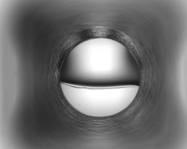 X0000098220325200804241138