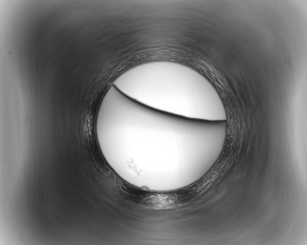 X0000098220326200804241138