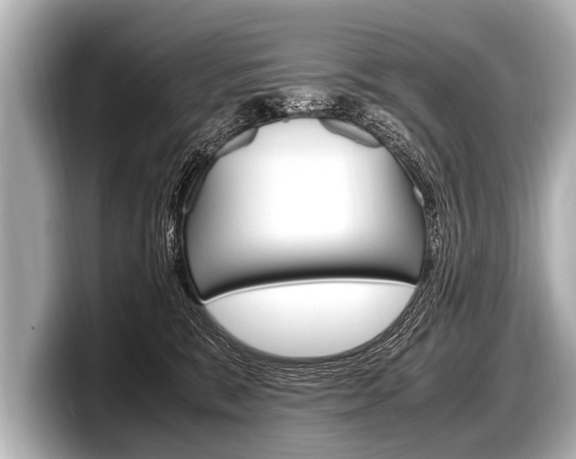 X0000098220327200804241138