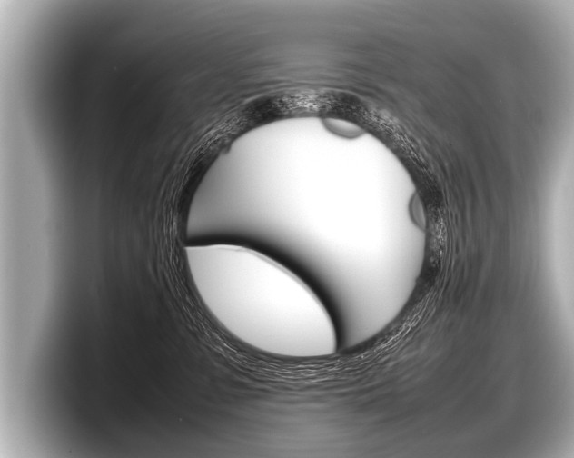 X0000098220331200804241138