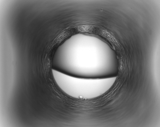 X0000098220332200804241138