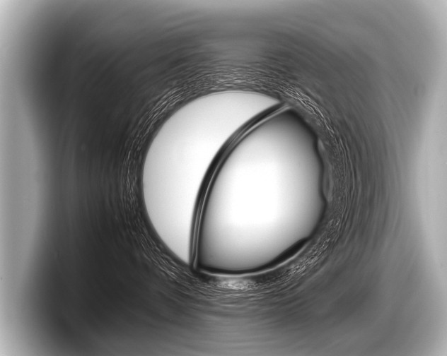 X0000098220336200804241138