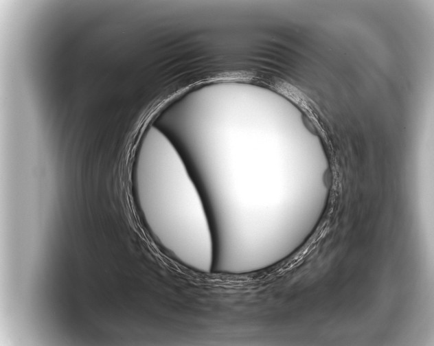 X0000098220337200804241137