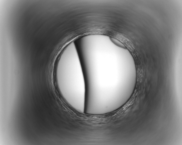 X0000098220338200804241137