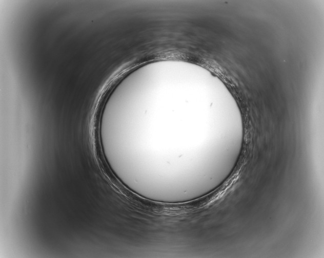 X0000098220341200804241138