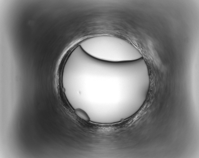 X0000098220342200804241138