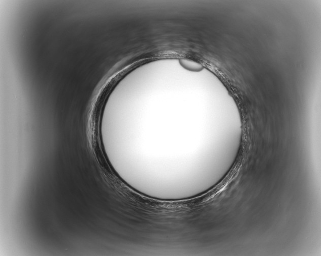 X0000098220343200804241138
