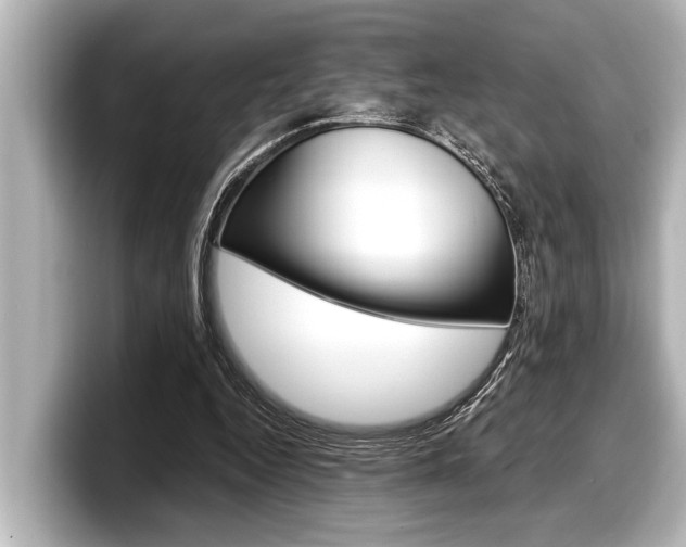 X0000098220344200804241138