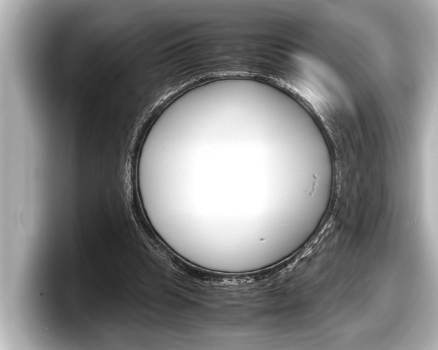 X0000098220345200804241138