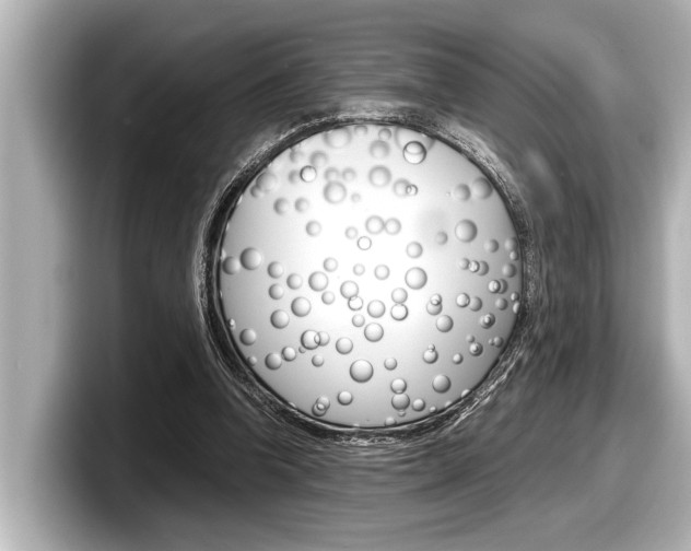X0000098220346200804241138