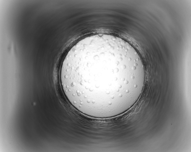 X0000098220347200804241138