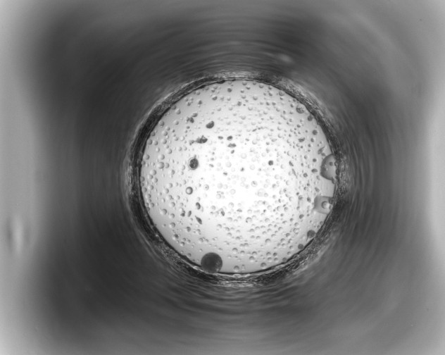 X0000098220351200804241138