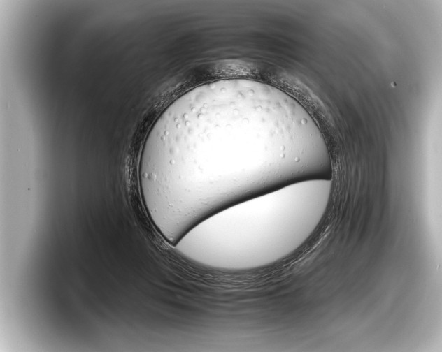 X0000098220359200804241138
