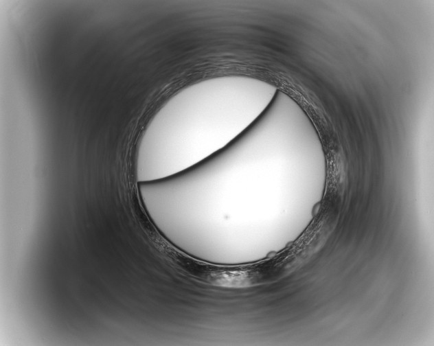 X0000098220361200804241138