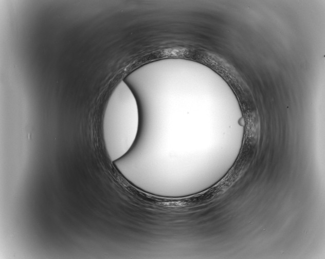 X0000098220363200804241138