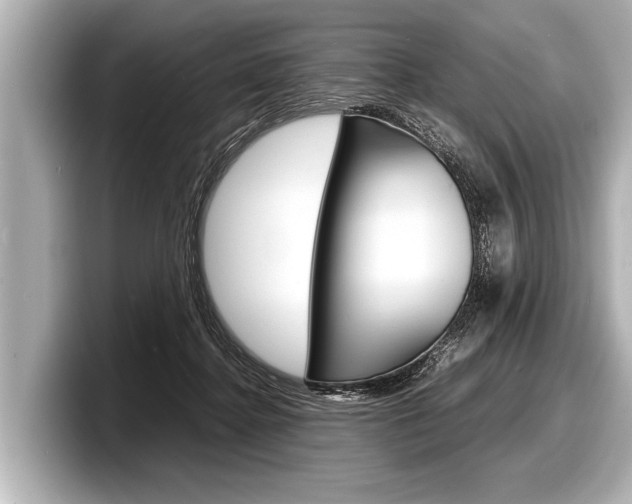 X0000098220364200804241138