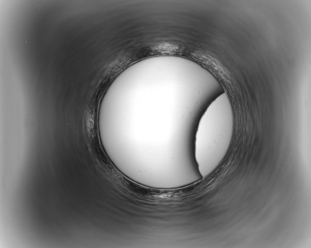 X0000098220365200804241138