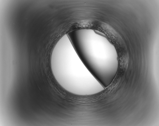 X0000098220368200804241138
