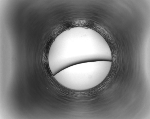 X0000098220371200804241138