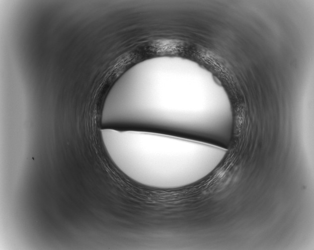 X0000098220379200804241138