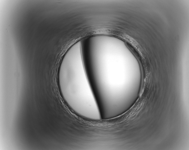X0000098220385200804241137