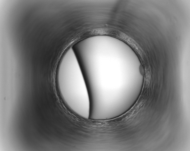 X0000098220386200804241137