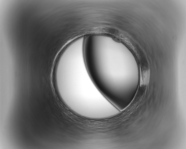 X0000098220387200804241137