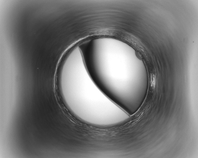 X0000098220388200804241137