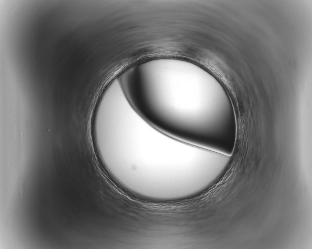 X0000098220389200804241137