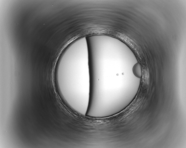 X0000098220390200804241137