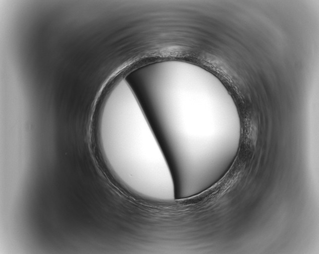 X0000098220392200804241137