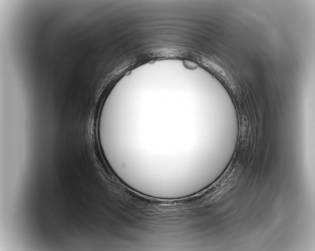 X0000098220394200804241137