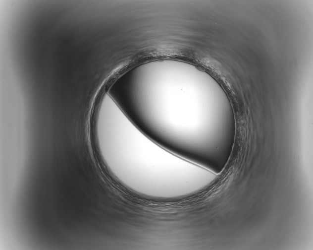 X0000098220395200804241137