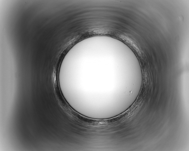 X0000098220398200804241137
