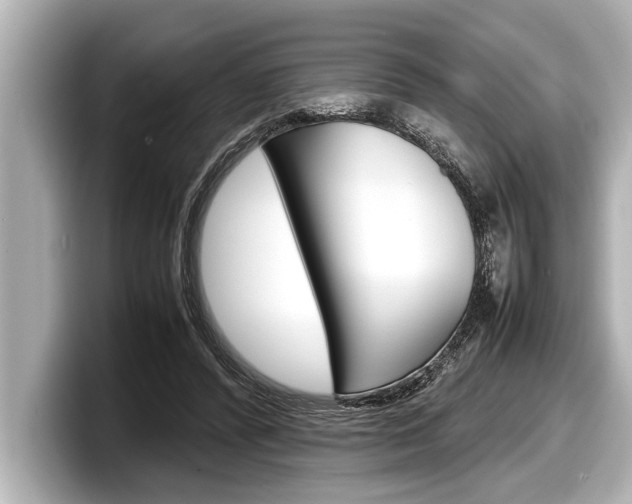 X0000098220400200804241137