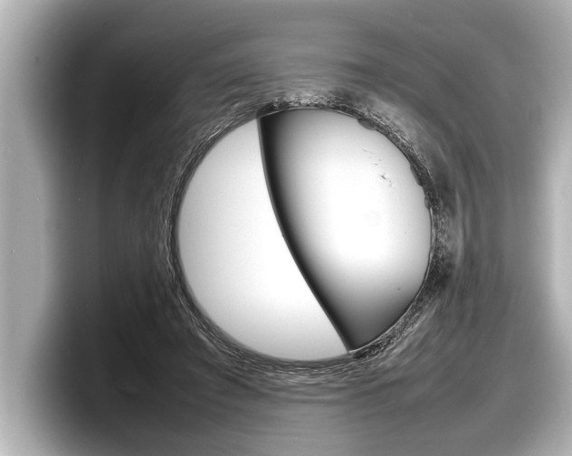 X0000098220401200804241137