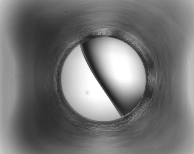 X0000098220403200804241137