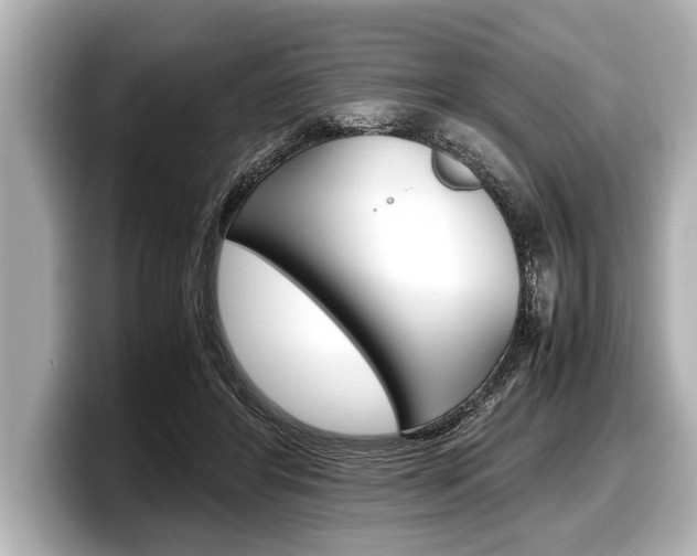 X0000098220404200804241137
