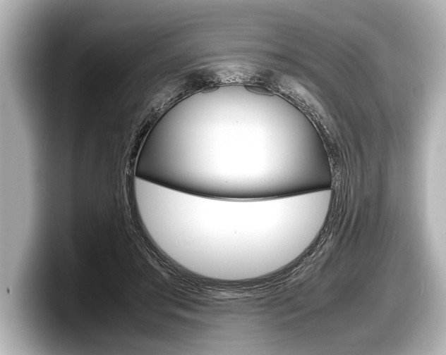 X0000098220405200804241137