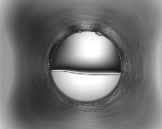 X0000098220407200804241137