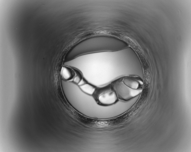 X0000098220409200804241137