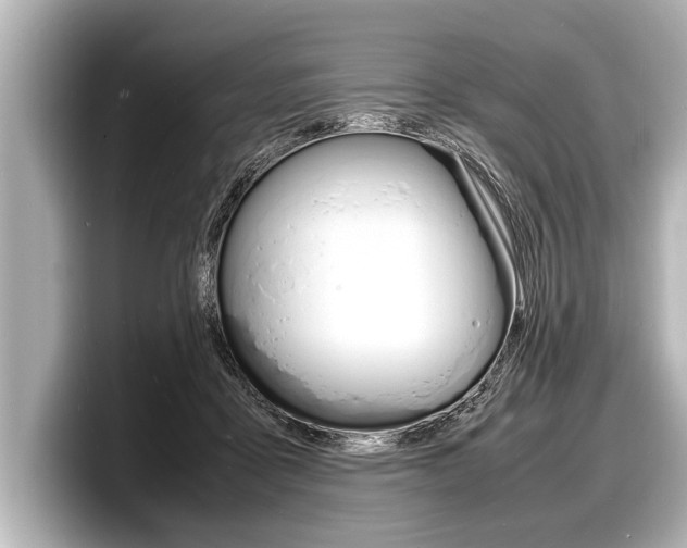 X0000098220411200804241137