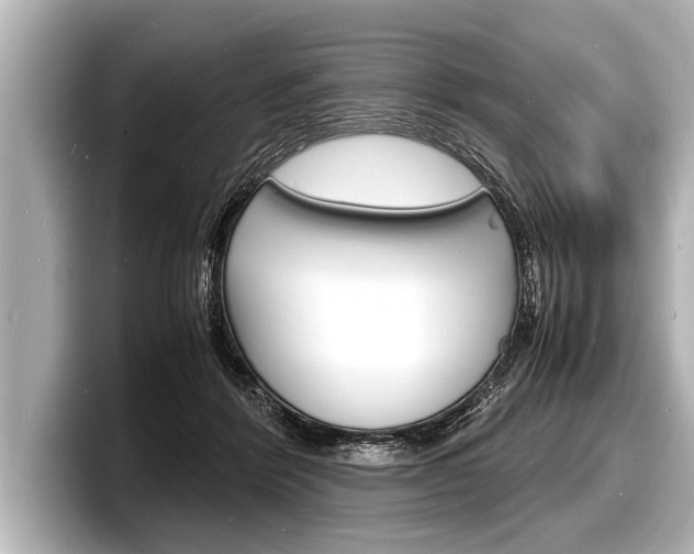 X0000098220412200804241137